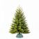 Jedle kavkazská Premium L - velikost do 200 cm