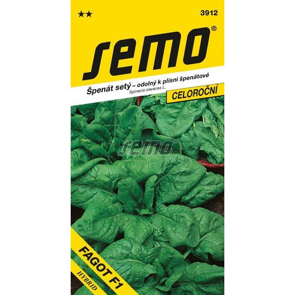 Špenát - Fagot F1 celoroční 300s