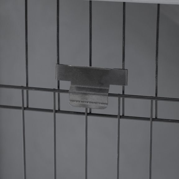 Králíkárna - PROMINENT BUNNY