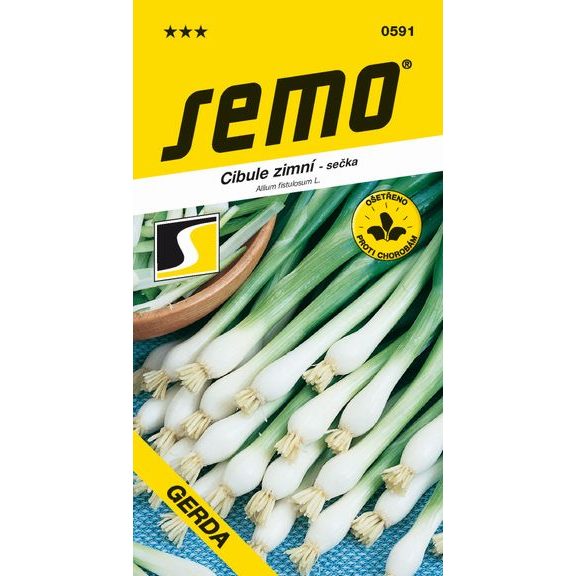 Cibule sečka - Gerda zimní, celoročně pro nať 2g