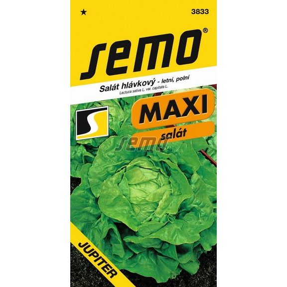Salát letní - Jupiter polní 0,3g - série MAXI