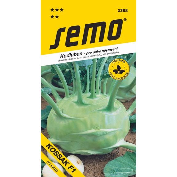Kedluben bílý - Kossak F1 pozdní, pro pole 25s