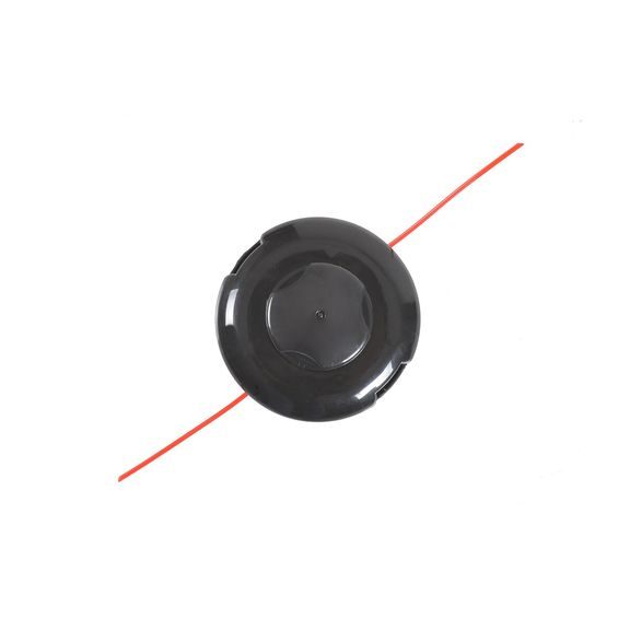 722540 - strunová hlava