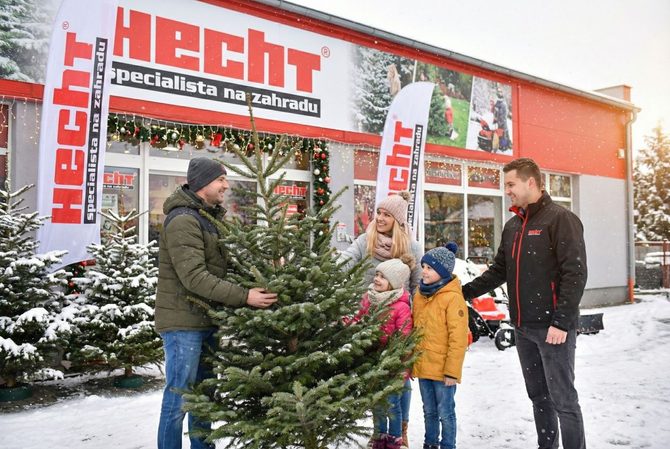 Vánoční stromek, který vydrží až do Tří králů