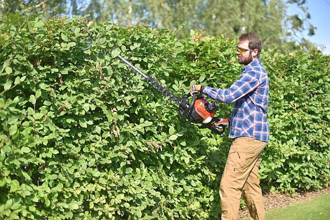 Jak střihat živý plot jako profík?