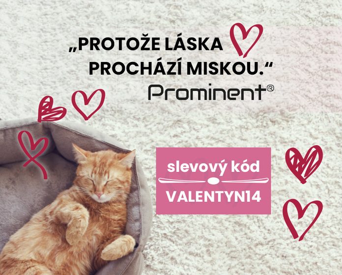 Protože láska prochází miskou