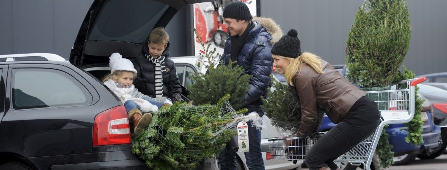 Vianočné stromčeky | HECHT.SK
