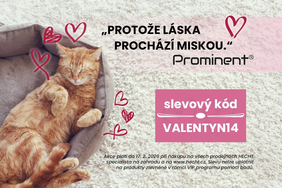 Valentýn14
