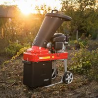 Petrol garden shredder - HECHT 6173