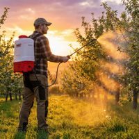 Knapsack sprayer - HECHT 9415