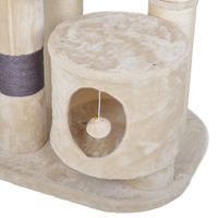 Scratching post for cats - PROMINENT SIMBA B