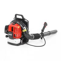Petrol blower - HECHT 952
