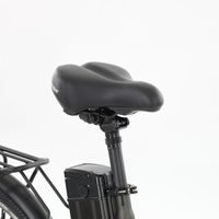 E-bike - HECHT RUNNIS SHADOW