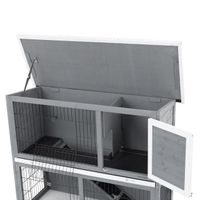 Rabbit Hutch - PROMINENT BUNNY