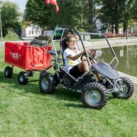 Accu buggy - HECHT 54899 SILVER