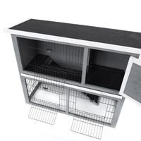 Rabbit Hutch - PROMINENT BUNNY