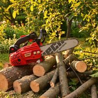 Petrol Chainsaw - HECHT 92225