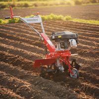 Petrol tiller - HECHT 746