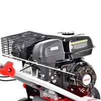 Motor scarifier - HECHT 5644 2 in 1