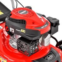 Petrol lawn mower with self propelled system - HECHT 541 SW
