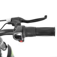 Accu bike - HECHT 59150 GREEN