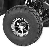 Accu ATV - HECHT 56199 HURON