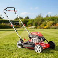 Gasoline Mulching Lawn Mower - HECHT 5511 C