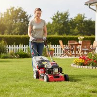 Gasoline Lawn Mower - HECHT 541 S