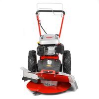 Motorized self-seeded weed trimmer - HECHT 5060