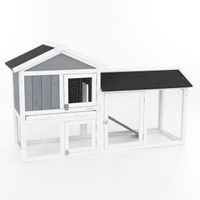 Rabbit Hutch - PROMINENT MOLLY