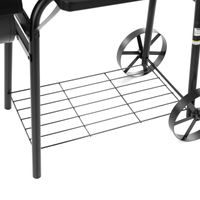 Charcoal garden grill - HECHT SENTINEL