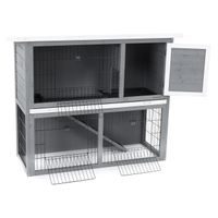 Rabbit Hutch - PROMINENT BUNNY