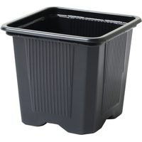 Soft Quality Container 8x8x7 cm - 10 pcs