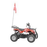 Accu Quad - HECHT 56800