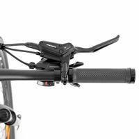 Electric bike - HECHT GRIMIS MATT