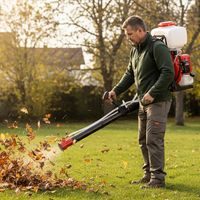 Motor dew eater / blower - HECHT 459