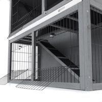 Rabbit Hutch - PROMINENT BUNNY