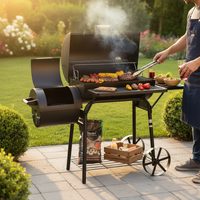 Charcoal garden grill - HECHT SENTINEL