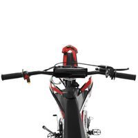 Petrol motorbike - HECHT 51125 RED