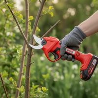 Cordless Garden Shears - HECHT 99140