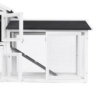 Rabbit Hutch - PROMINENT MOLLY