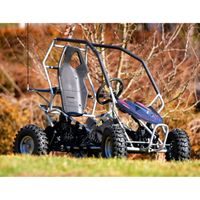 Accu buggy - HECHT 54899 SILVER
