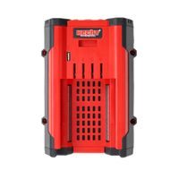 Battery li-ion 62V 4Ah - 006240 B