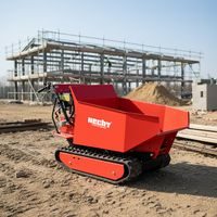 Tracks transporter - HECHT 2950