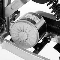 Battery-Powered Mini Motorcycle - HECHT 54300 GREEN