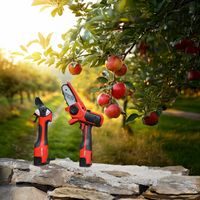 Portable Chain Saw and Pruning Shears Set (2-in-1) - HECHT 99126