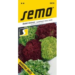 Curly Lettuce for Cutting - Colourful Mix of Varieties 0.8g