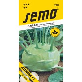 White Kohlrabi - Kossak F1 Late, for Field 25 Seeds