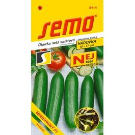 Cucumber greenhouse - Minisprint F1 kr 10 seeds - BEST series