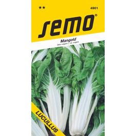 Swiss Chard - Lucullus Yellow-Green 3g